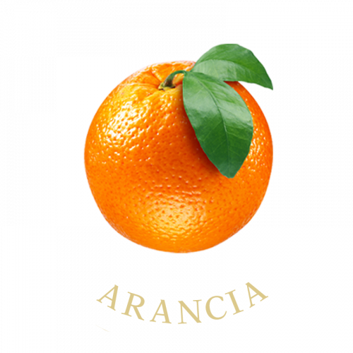 arancia-frutti-terra-calabria