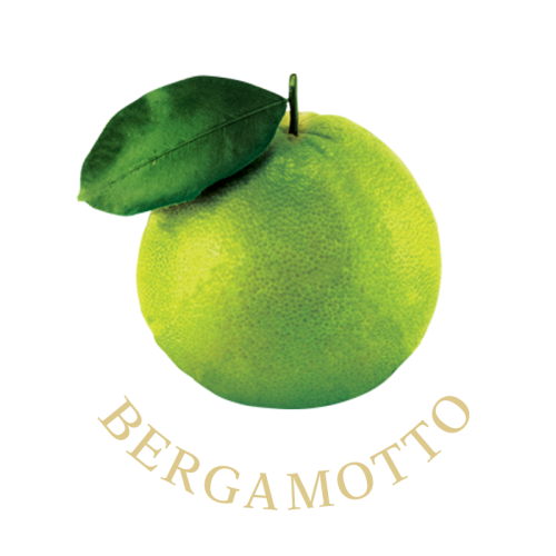 bergamotto-frutti-terra-calabria-avolicino-com