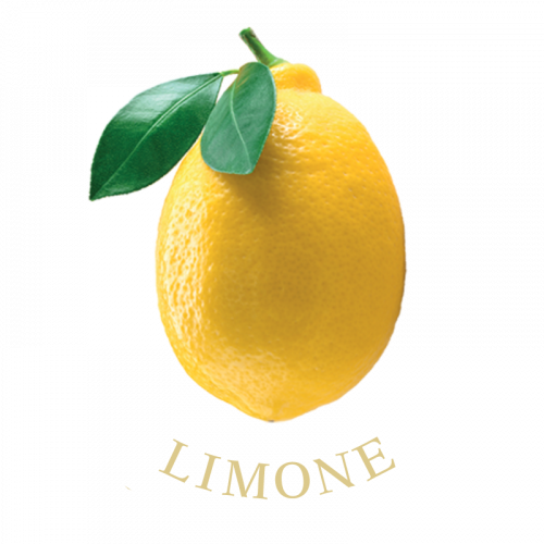 limone-frutti-terra-calabria